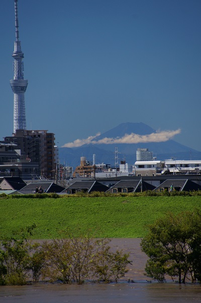 4　野球グランドは水没していたが富士山はそれでも凛としていた.JPG
